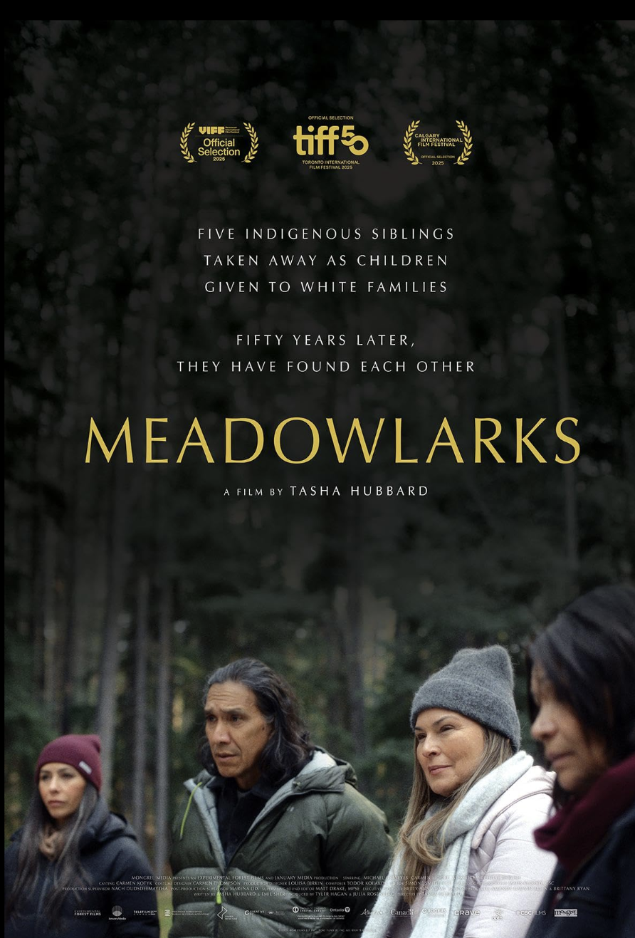 Meadowlarks